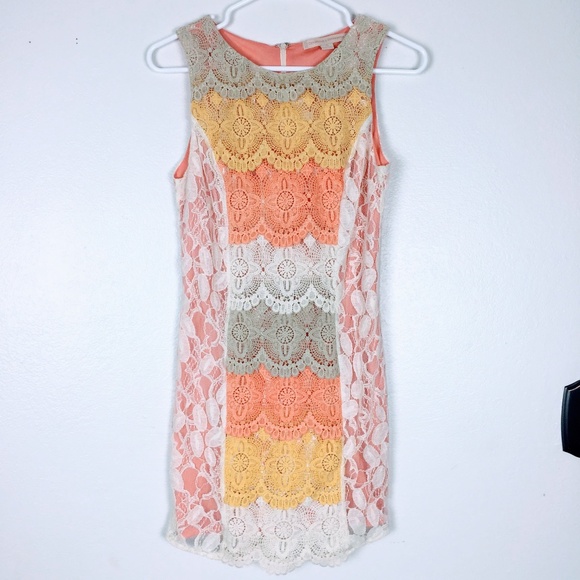 Champagne Strawberry Lace Fitted Sleeveless Lace - Picture 1 of 5